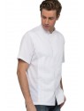 BRISTOL SIGNATURE SERIES CHEF COAT BRISTOL SIGNATURE SERIES CHEF COAT